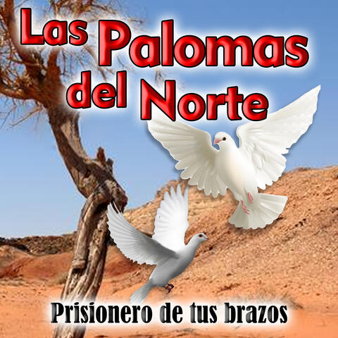 Prisionero De Tus Brazos