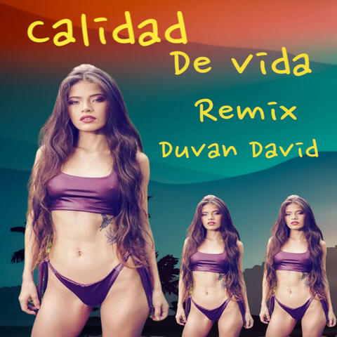 Calidad De Vida (Remix)