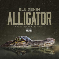 Alligator