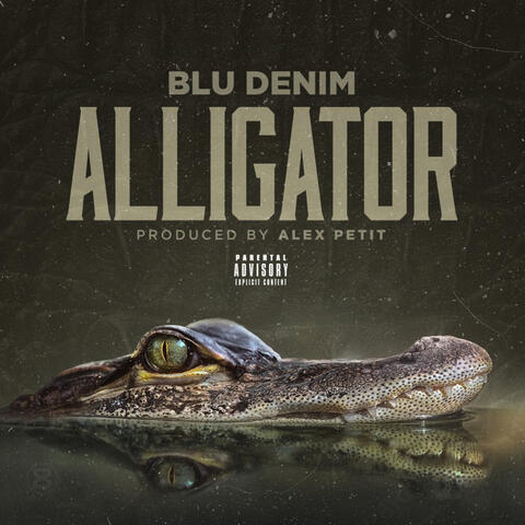 Alligator