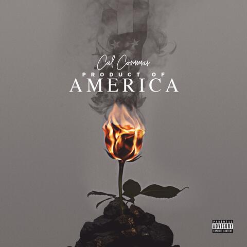 Product of America