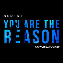 You Are The Reason (feat. Ashley Hess)