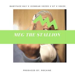 Meg The Stallion (feat. Veeze)