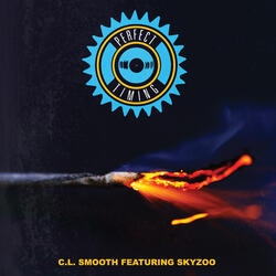 Perfect Timing (feat. Skyzoo) [Instrumental]