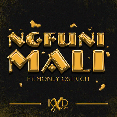 Ngfuni Mali (feat. Money Ostrich)