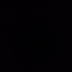 Who Did It Freestyle