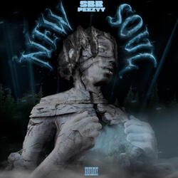 New Soul