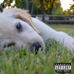 My Dawg