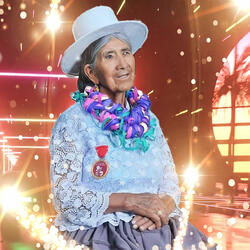 Sauce Llorón Cueca