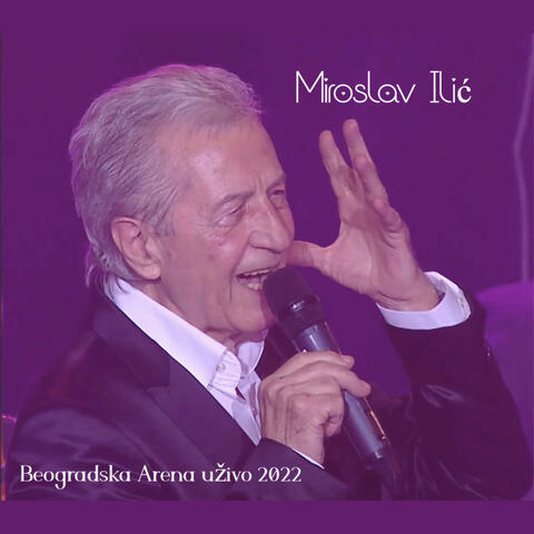 Miroslav Ilić arena