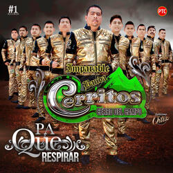 Disfrute