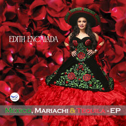 Un Mariachi y Tres Tequilas