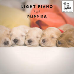 Tail-Wagging Tunes