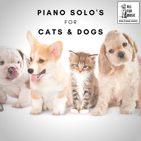 Piano Solo's for Cats & Dogs