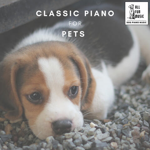 Classic Piano for Pets
