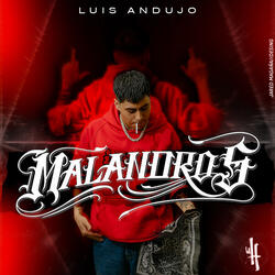 Malandros