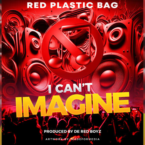I Can't Imagine