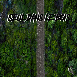 Seul dans le bois