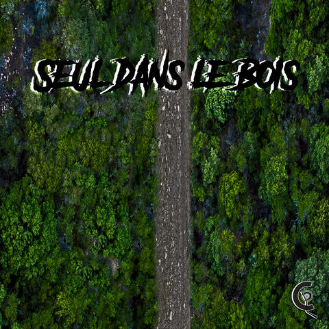 Seul dans le bois