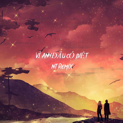 Vì Anh Đâu Biết (Beat)
