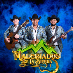 Tolin Infante (En Vivo)