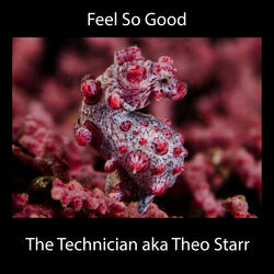 Feel So Good