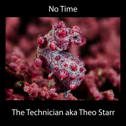 No Time