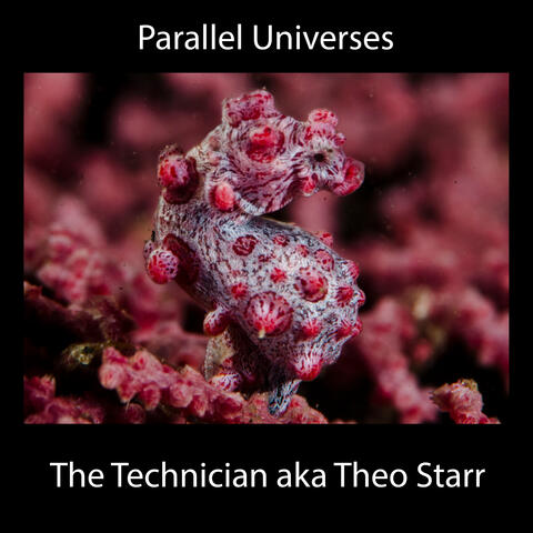 Parallel Universes