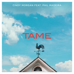 TAME