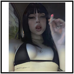 No Pierdas Tiempo Ve al Gimnasio