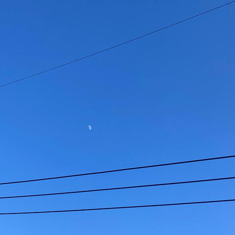 The Clarity of Ambiguity