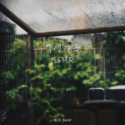 Tranquil Forest Wind and Frog