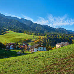 A Quiet Night in the Rain Forest