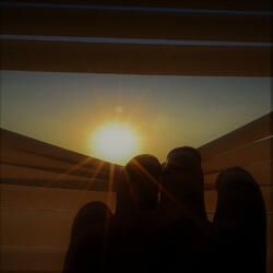 Summer Shine