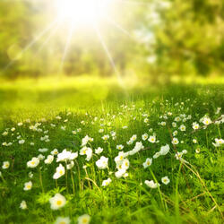 ASMR The sound of hitting dishes while eating