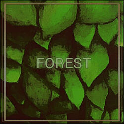 Forest Conversation
