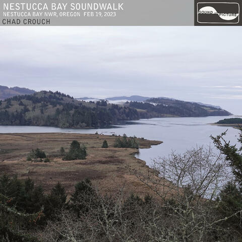 Nestucca Bay Soundwalk