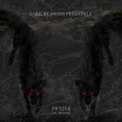 DARK REASONS (Freestyle)