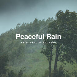 Rain Wind & Thunder