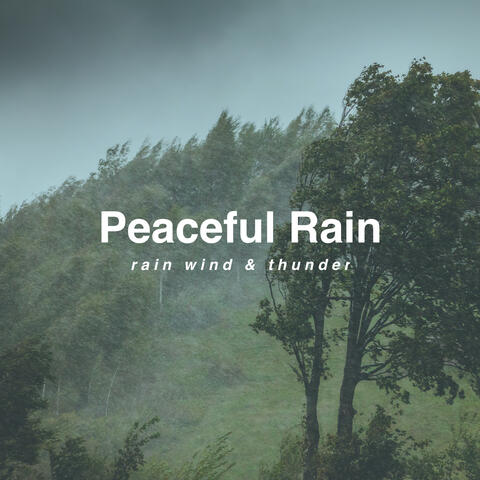 Rain Wind & Thunder