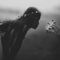 Wistful Memory