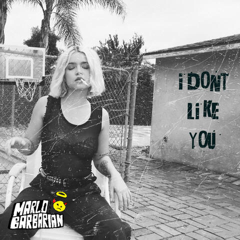 I Don't Like You