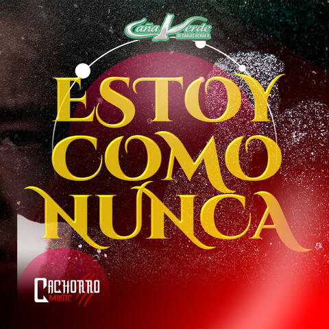 Estoy Como Nunca