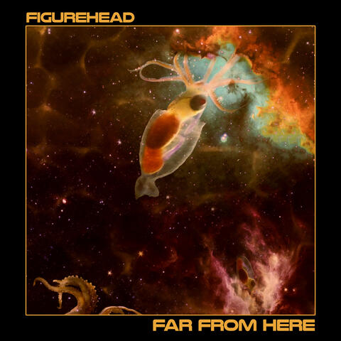 Far From Here
