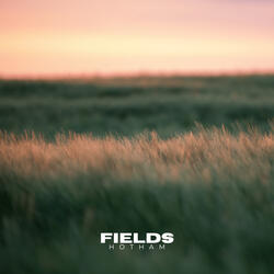 Fields