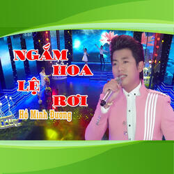Ngắm Hoa Lệ Rơi