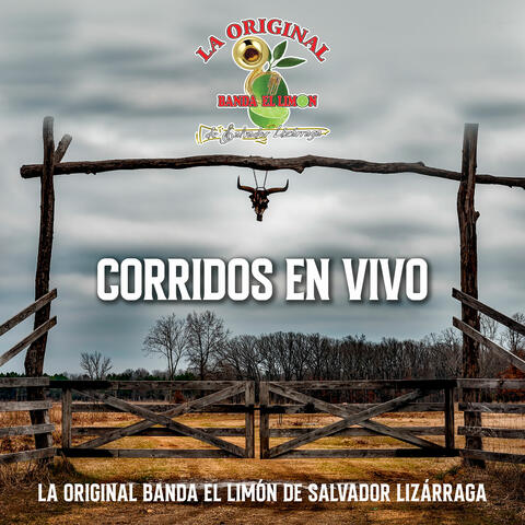 Corridos En Vivo La Original Banda El Limón