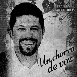 Un Chorro De Voz
