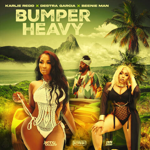 Bumper Heavy