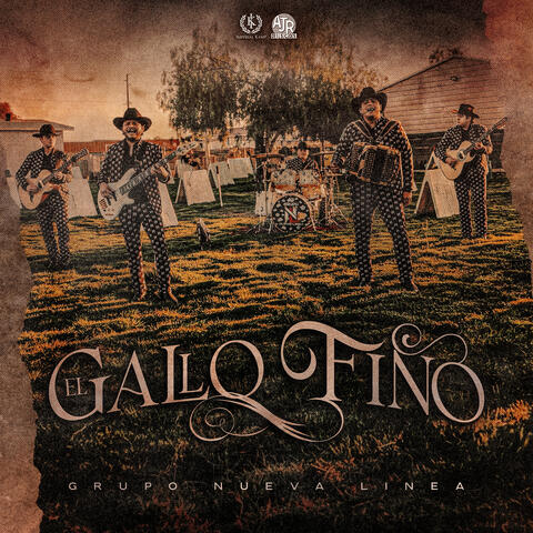 El Gallo Fino